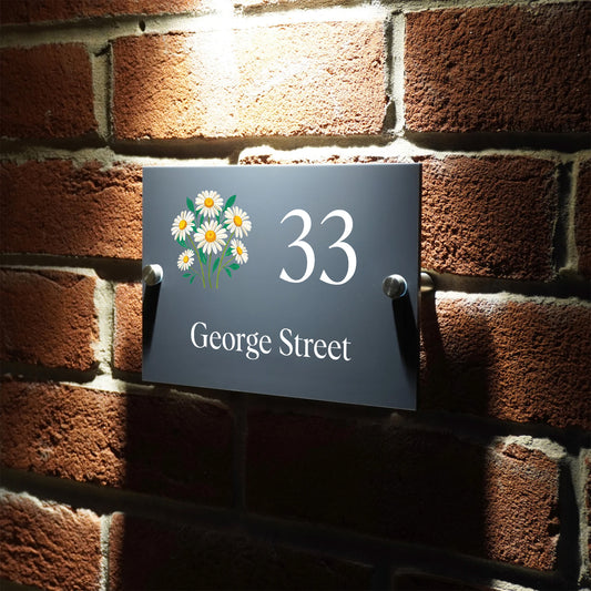 Custom Signs Modern Anthracite House Number Sign Plaque Stainless Steel Standoffs Daisy